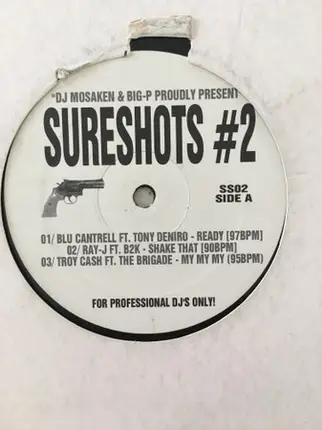Blu Cantrell, Ray J, a.o., - Sureshots #2