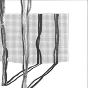 Saphileaum - Systema Naturae II