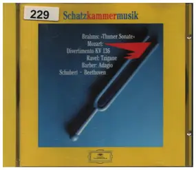 Johannes Brahms - Schatzkammermusik