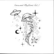 Mihai Popoviciu - Seaweed Rhythms Vol.1