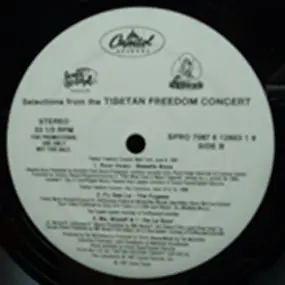 Beastie Boys - Selections From The Tibetan Freedom Concert