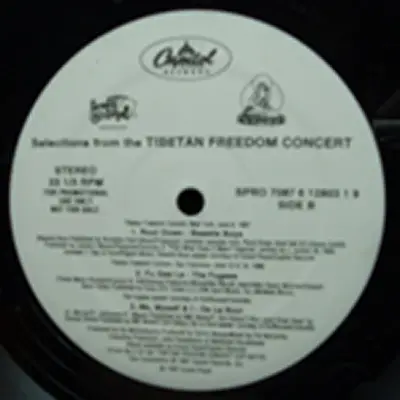 Beastie Boys, Fugees, A Tribe Called Quest, De La Soul, KRS-1 & Biz Markie With Cool V - Selections From The Tibetan Freedom Concert