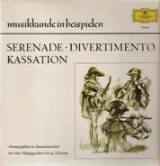 Various - Seremade Divertimento Kassation