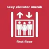 CD - Loopless / Loungechic Productions / Toy Division a.o - Sexy Elevator Muzak - First Floor - Digipak
