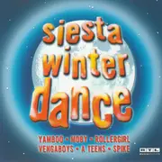 Double CD - Robbie Williams / Tom Jones Feat. The Cardigans a.o. - Siesta Winter Dance