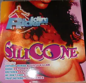 Various Artists - Silicone: Ridden Rider Vol. 14