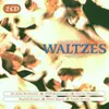 Double CD - J. Strauss / Tchaikovsky / Lehar a.o. - Simply The Best Waltzes