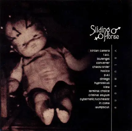 Kirlian Camera,T.A.C,Blutengel,Converter, u.a - Sliding Horse One