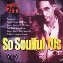 Bettye Swann,Vivian Reed,Sam Dees,Na Allen, u.a - So Soulful 70's