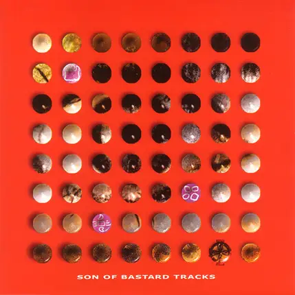 Schiyoid Man, Euphonic, Appaloosa a.o. - Son Of Bastard Tracks