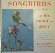 Song Birds Of America - In Color, Sound and Story - Commentary by A.A. Allen