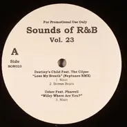 Destiny's Child / Usher / Amerie / a.o. - Sounds Of R&B Vol. 23