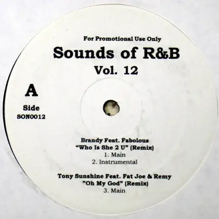 Brandy, Tony Sunshine, a.o. - Sounds Of R&B Vol. 12
