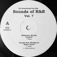 Truth Hurts , Raphael Saadiq , Junior - Sounds Of R&B Vol. 7
