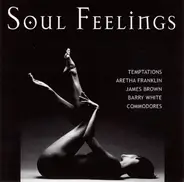 Aretha Franklin, The Temptations a.o. - Soul Feelings