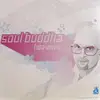 2 x 12'' - Various - Soul Buddha (Heavenly)