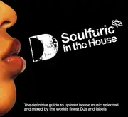 CD-Box - Cerrone, MAW, Donna Allen... - Soulfuric In The House - Digipak