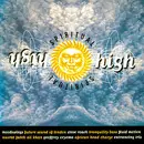 CD - Future Sound of London, Steve Roach, Geoffrey Oryeme a.o. - Spiritual High