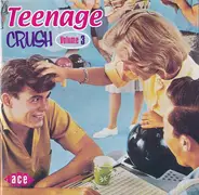 Terry Stafford, Little Willie John, Fabian... - Teenage Crush Volume.3
