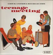 Bobby Wood, Ricky Shaw, The Desires a.o. - Teenage Meeting