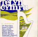 LP - Côr Telyn Teilo / Hogia'r Ddwylan / Pedwarawd Y Wenallt / a.o. - Telyn Cymru