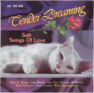 Lou Rawls, Sam Cooke, Donnie Elbert - Tender Dreaming 1 - Warm Songs Of Love