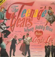 Lesley Gore, The Platters, Jerry Lee Lewis, Roy Orbison a.o. - The Teenage Years