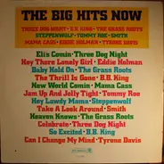 Mama Cass Elliot, Tommy Roe a.o. - The Big Hits Now