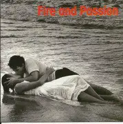 Double CD - Donna Summer / Serge Gainsbourg a.o. - The Emotion Collection - Fire And Passion