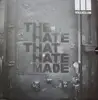 12inch Vinyl Single - Various - The Hate That Hate Made
