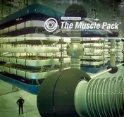 Agent Orange - The Muscle Pack - The Experimental Powerhouse Compilation