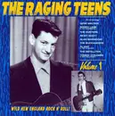 CD - Alan Barnicoat / The Buccaneers / The Dusters a.o. - The Raging Teens Volume 1