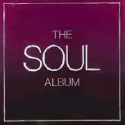 Double CD - Marvin Gaye / Tina Turner / Massive Attack a.o. - The Soul Album