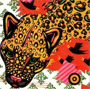 CD - Devin Davis, Laura Veirs, Sufjan Stevens, a.o. - The Sound The Hare Heard