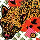 CD - Devin Davis, Laura Veirs, Sufjan Stevens, a.o. - The Sound The Hare Heard