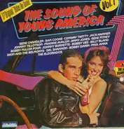 Various - The Sound Of Young America Vol.1