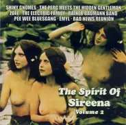 Rainer Baumann Band, Pee Wee Bluesgang, Bad News Reunion - The Spirit Of Sireena Volume 2