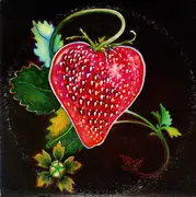 LP - The James River Gentlemen,Vandy a.o. - The Strawberry Hill Invitational Bluegrass Festival