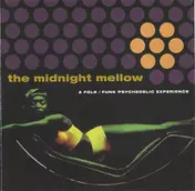 Stringtronics - The Midnight Mellow - A Folk/Funk Psychedelic Experience