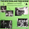 LP - The New Breeds, The Tallysmen, The Shadows Four - The New England Teen Scene Vol. 1 - RARE