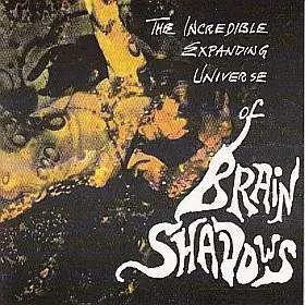 Blue Amber,Zendik,Seompi,The Lords,Sherman Marshall, u.a - The Incredible Expending Universe Of Brain Shadows
