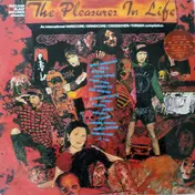 Hardcore Punk Compilation - The Pleasures In Life