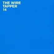 The Dirty Projectors - The Wire Tapper 14