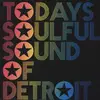 LP - The Funk Factor / Forte / Anita Marie Hill a.o. - Todays Soulful Sound Of Detroit