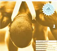 Ella Fitzgerald / The Supremes / Sarah Vaughan a.o. - Too Darn Hot