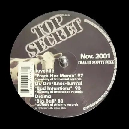 Juvenile, Dr. Dre, DJ Quik, Snoop Dogg a.o. - Top Secret Nov. 2001