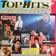 Various - Top Hits Of The Year