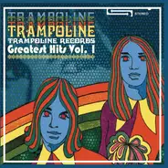 Peter Himmelman, Mavis, The Minus 5 a.o. - Trampoline Records - Greatest Hits Vol. 1