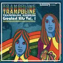 CD - Gary Jules, Pete Yorn, a.o - Trampoline Records - Greatest Hits Vol. 1