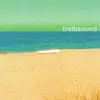 CD - Various - Treibsound